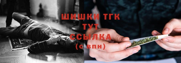 индика Приозерск