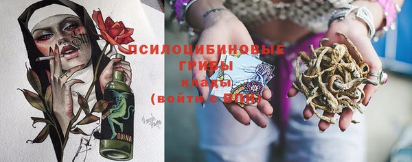 герыч Алексин