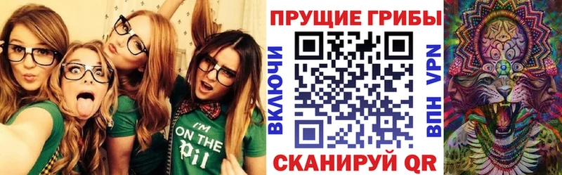 Псилоцибиновые грибы Psilocybe  Харовск 
